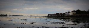IMG_7639
