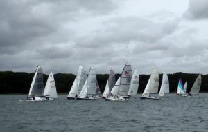 bass-cup2-800x508